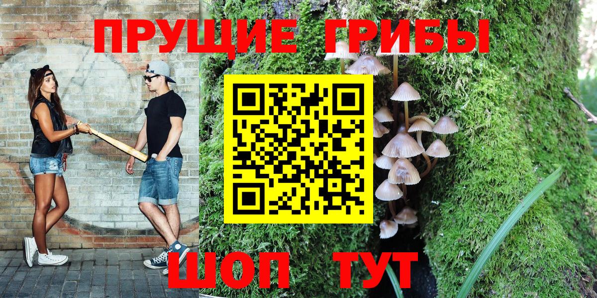 Псилоцибиновые грибы Psilocybine cubensis Костомукша