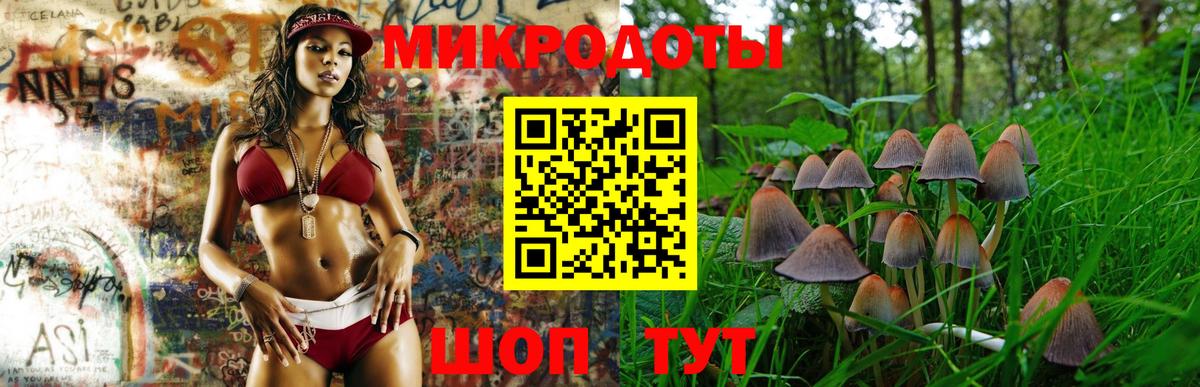 Костомукша  Галлюциногенные грибы MAGIC MUSHROOMS  Вход с VPN 